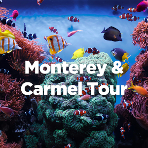 Monterey and Carmel Tour