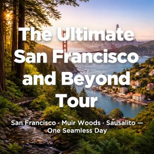 San Francisco, Muir Woods, and Sausalito Tour